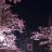Dark_glushkov