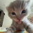 Miron_Cherkasov