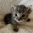 Vitalya_Kiselev