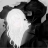 Ulia_711