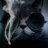 Sasha_Ramly