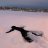 Artem_winstoyneb