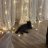 Sergrei_Osipov