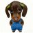 Gosha_Gabrielov
