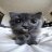 Ilya_Stotskiy