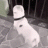 Alexey_Smertin