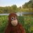 Arseny_Reinhart