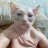 Ilya_Carnello