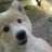 Victor_221