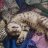 Kirill_Kurs