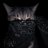 Martin_Carleone