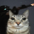 Usman_Yudin53