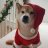 Melissa_Foretto