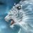 Mixail_Belov