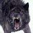 Anton_Wolf
