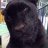 Abdul_Aliev