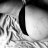 Jones_Williamss