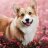 Matvey_Platov