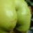 GreenAss