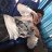 Maks_Rahatov