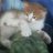 Dmitriy_White
