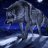 Kelly_volkov