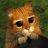 Ilya_Rybin