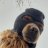 Richi_Austin