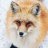 Evgeniy_Fanta