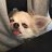 Arseniy_Petrov
