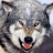 Daniil_Brody