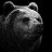 Georgiy_Varl