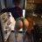 Richard_Rodrigovich