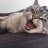 Roberto_Friman