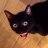 Daniil_Loboda