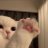 Shiori_Mori