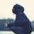 Tom_Clarkus