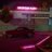 Mike_Bulgarin