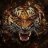Dmitry_Avrorin