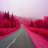 Jony_Fraisse