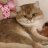 Danil_Rustamov